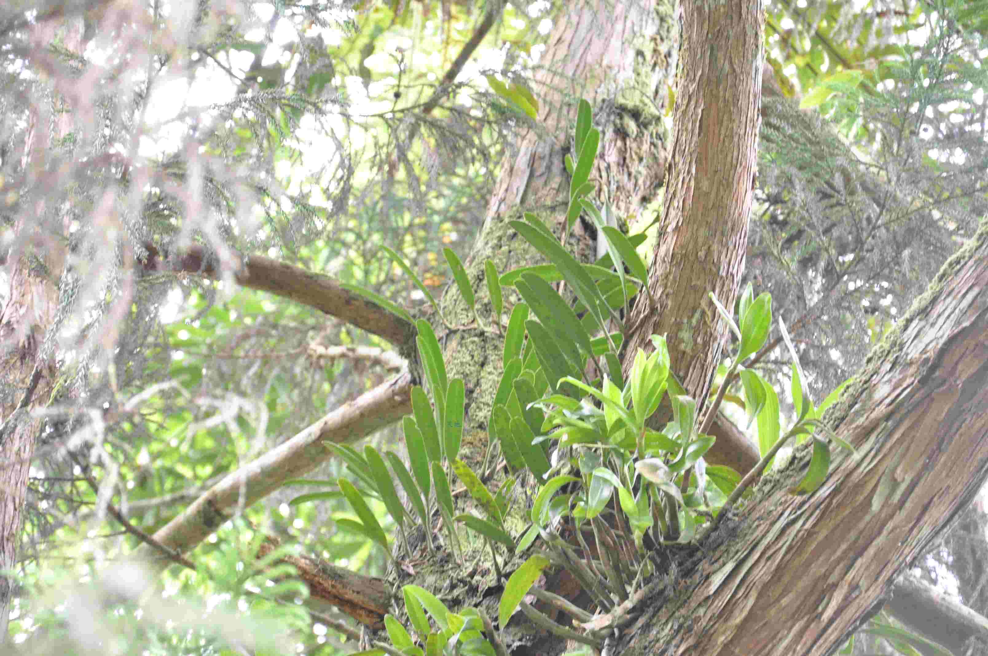 «ö¦¹¦b·sµøµ¡ÂsÄý¹Ï¤ù