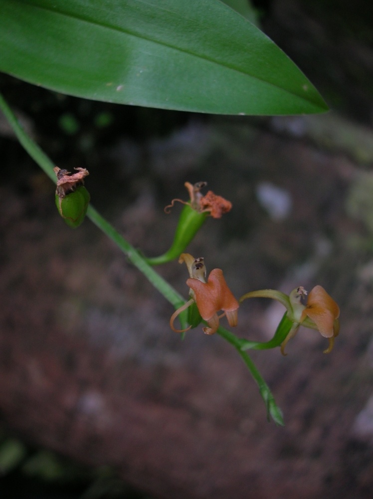 «ö¦¹¦b·sµøµ¡ÂsÄý¹Ï¤ù