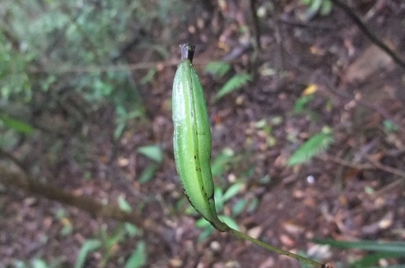 «ö¦¹¦b·sµøµ¡ÂsÄý¹Ï¤ù