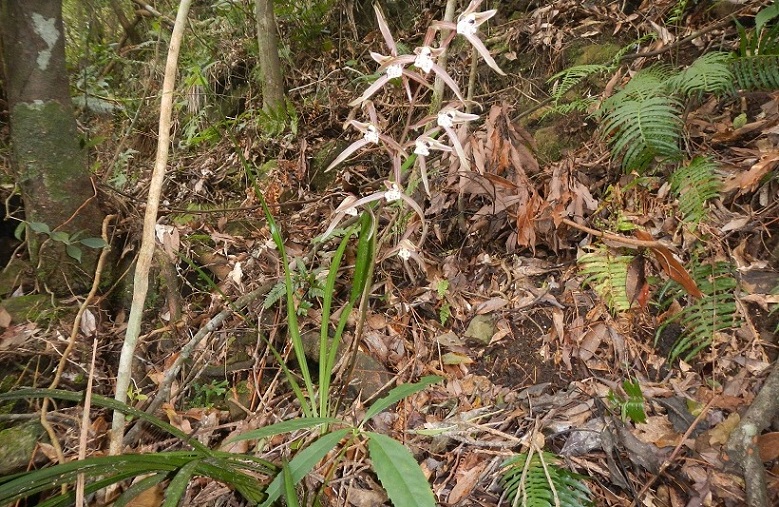 «ö¦¹¦b·sµøµ¡ÂsÄý¹Ï¤ù