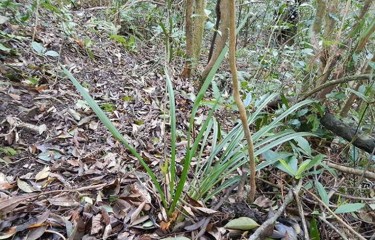 «ö¦¹¦b·sµøµ¡ÂsÄý¹Ï¤ù