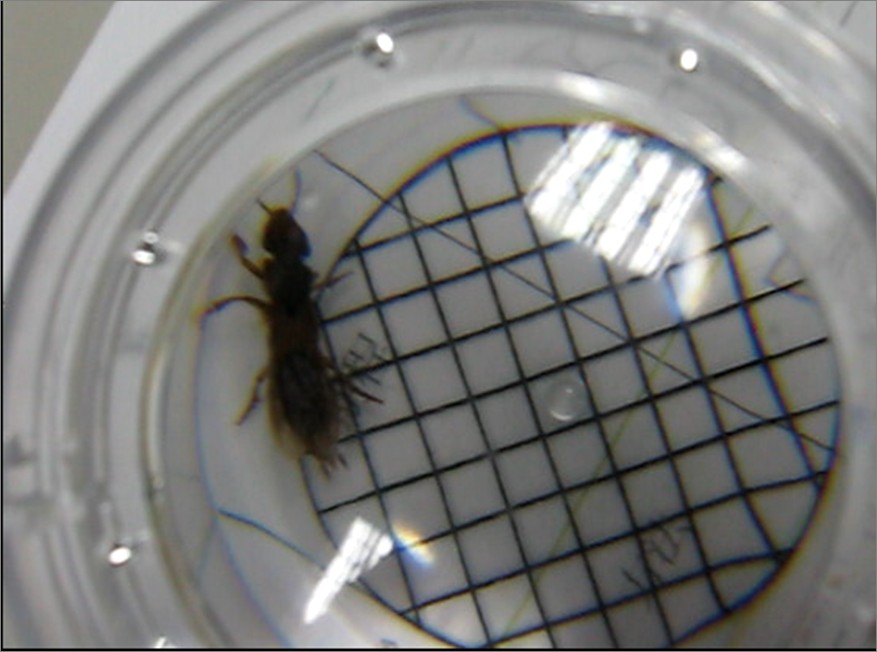 «ö¦¹¦b·sµøµ¡ÂsÄý¹Ï¤ù