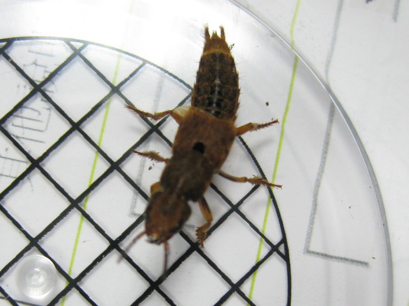 «ö¦¹¦b·sµøµ¡ÂsÄý¹Ï¤ù