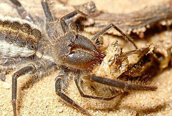 «ö¦¹¦b·sµøµ¡ÂsÄý¹Ï¤ù