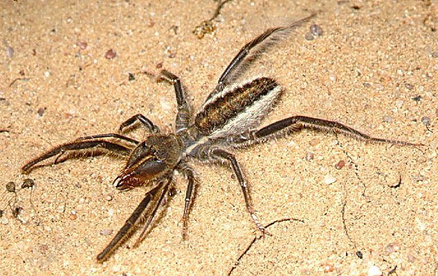 «ö¦¹¦b·sµøµ¡ÂsÄý¹Ï¤ù