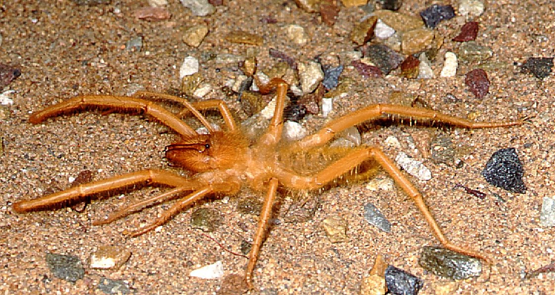 «ö¦¹¦b·sµøµ¡ÂsÄý¹Ï¤ù