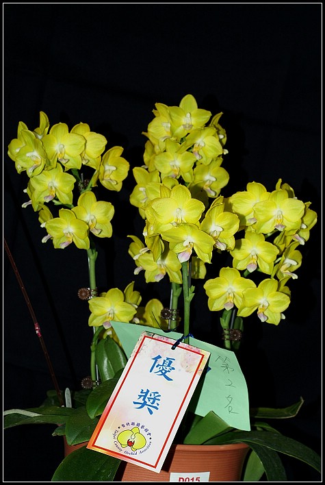 按此在新視窗瀏覽圖片
