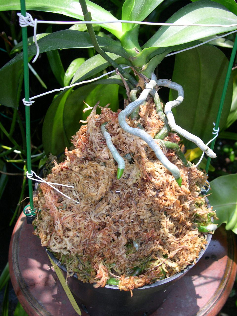 按此在新視窗瀏覽圖片