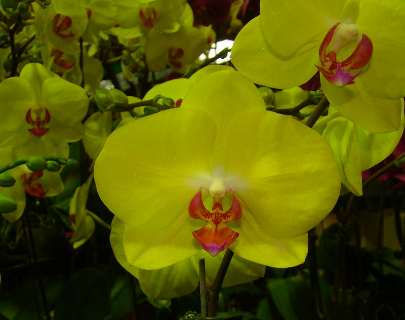 «ö¦¹¦b·sµøµ¡ÂsÄý¹Ï¤ù