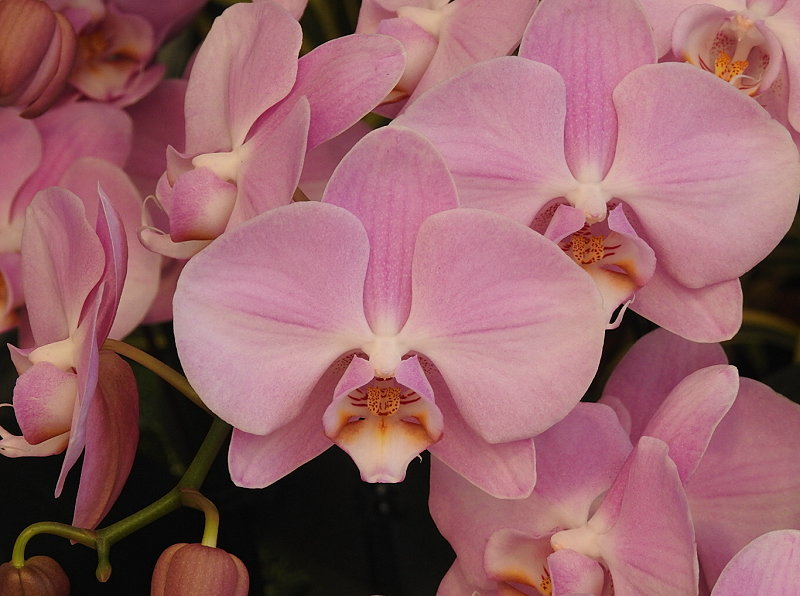 «ö¦¹¦b·sµøµ¡ÂsÄý¹Ï¤ù