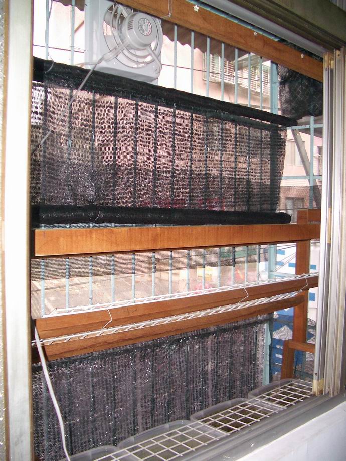 «ö¦¹¦b·sµøµ¡ÂsÄý¹Ï¤ù