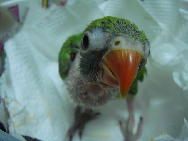 «ö¦¹¦b·sµøµ¡ÂsÄý¹Ï¤ù