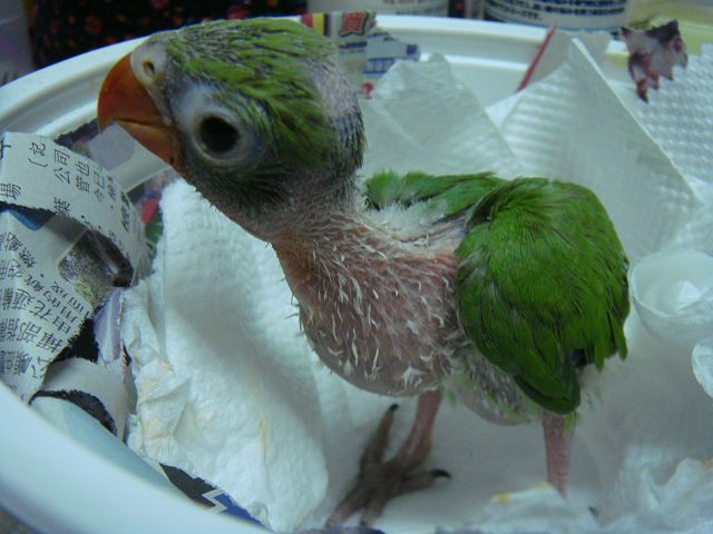 «ö¦¹¦b·sµøµ¡ÂsÄý¹Ï¤ù