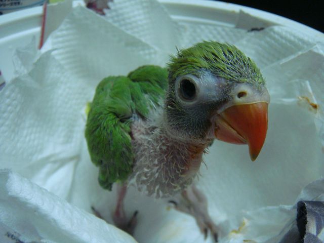 «ö¦¹¦b·sµøµ¡ÂsÄý¹Ï¤ù