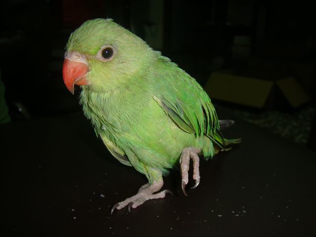 «ö¦¹¦b·sµøµ¡ÂsÄý¹Ï¤ù