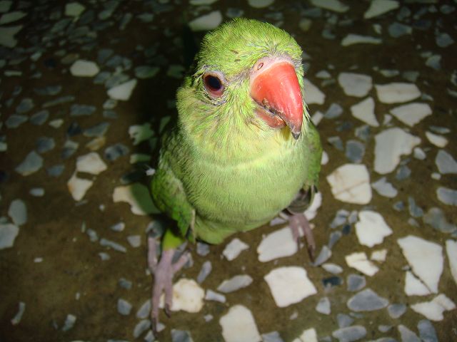 «ö¦¹¦b·sµøµ¡ÂsÄý¹Ï¤ù