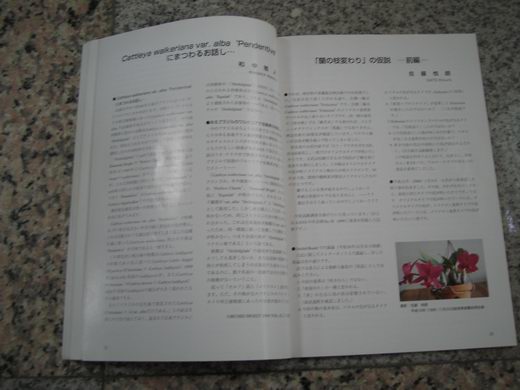 «ö¦¹¦b·sµøµ¡ÂsÄý¹Ï¤ù