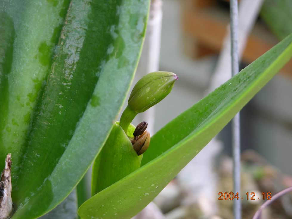 «ö¦¹¦b·sµøµ¡ÂsÄý¹Ï¤ù