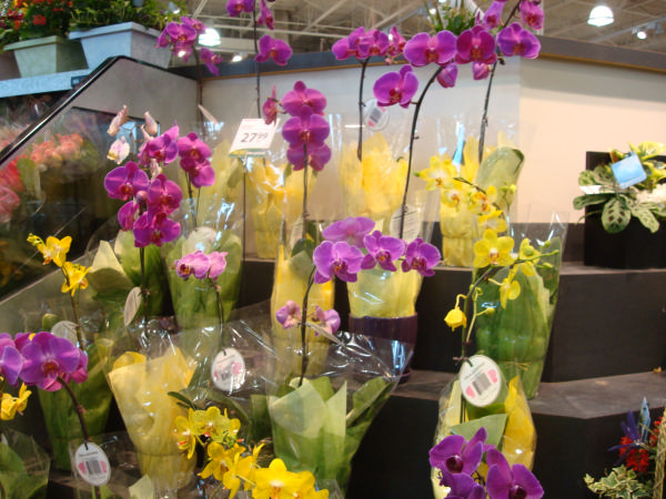 «ö¦¹¦b·sµøµ¡ÂsÄý¹Ï¤ù