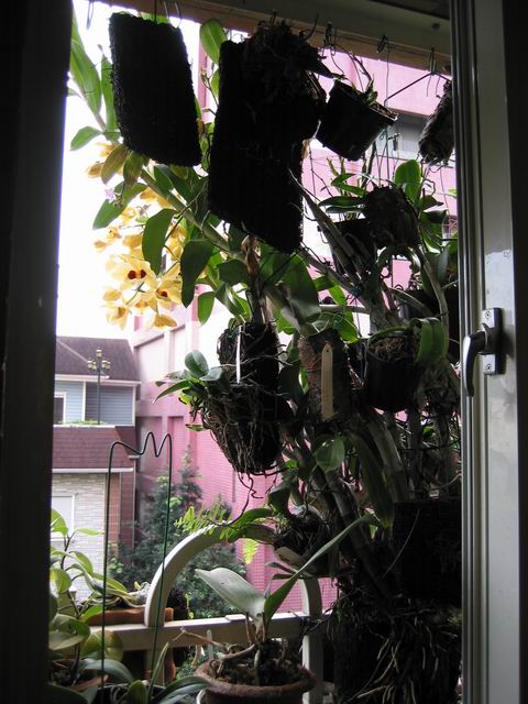 按此在新視窗瀏覽圖片