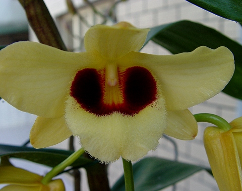 按此在新視窗瀏覽圖片