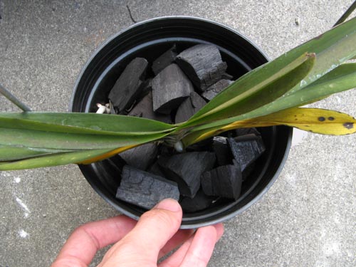 «ö¦¹¦b·sµøµ¡ÂsÄý¹Ï¤ù