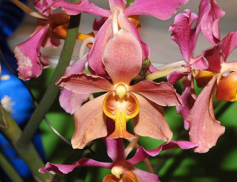 «ö¦¹¦b·sµøµ¡ÂsÄý¹Ï¤ù