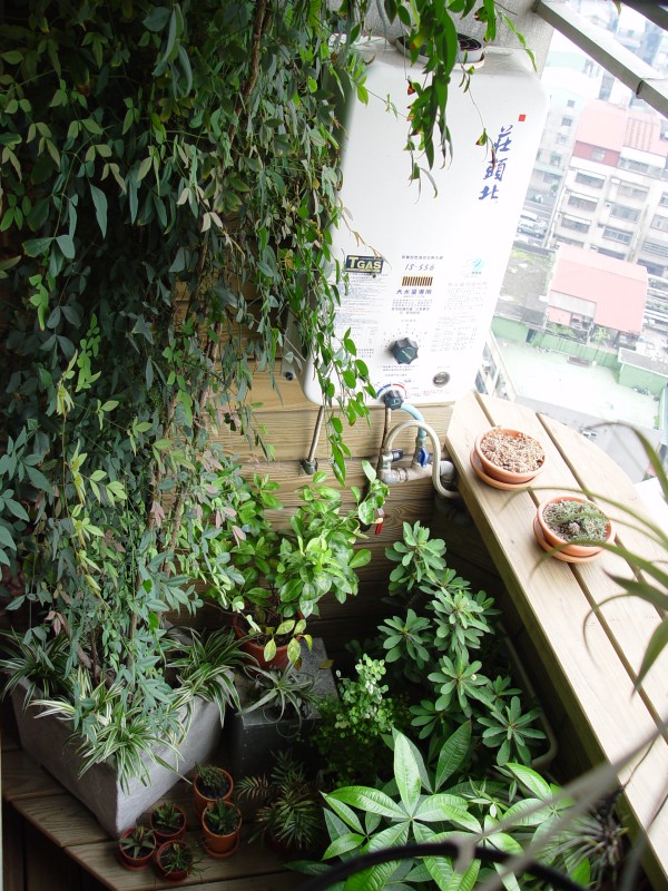 按此在新視窗瀏覽圖片
