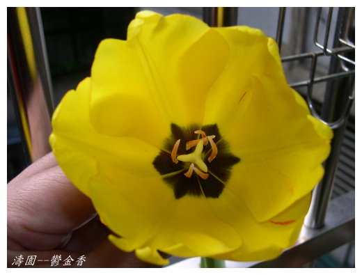 按此在新視窗瀏覽圖片