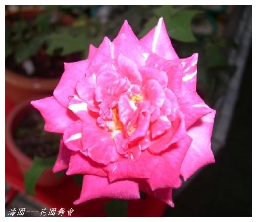 按此在新視窗瀏覽圖片