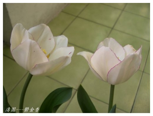 按此在新視窗瀏覽圖片