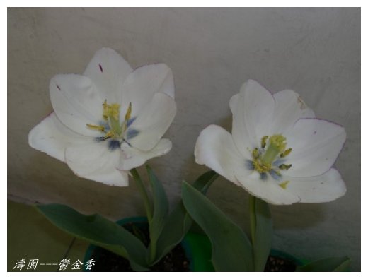 按此在新視窗瀏覽圖片