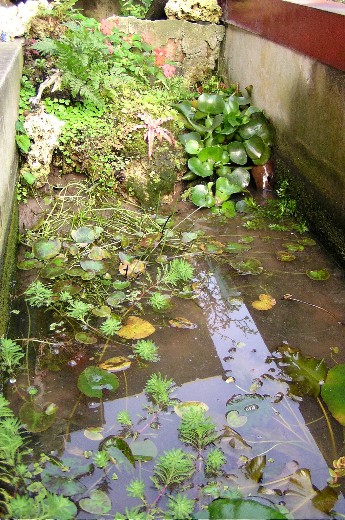 «ö¦¹¦b·sµøµ¡ÂsÄý¹Ï¤ù