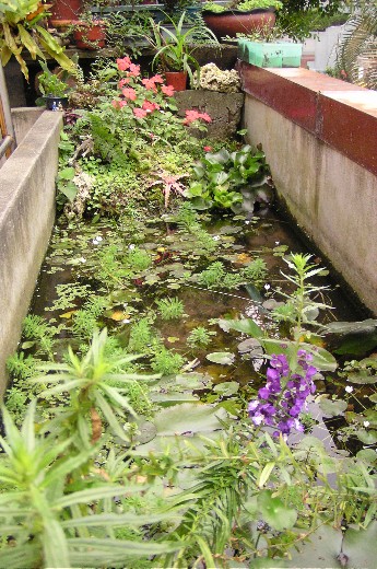 «ö¦¹¦b·sµøµ¡ÂsÄý¹Ï¤ù