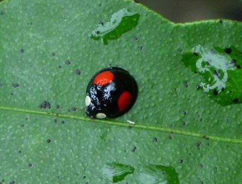 «ö¦¹¦b·sµøµ¡ÂsÄý¹Ï¤ù