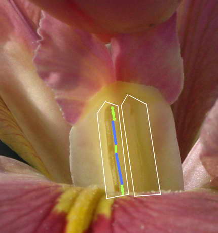 «ö¦¹¦b·sµøµ¡ÂsÄý¹Ï¤ù