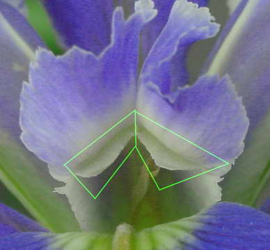 «ö¦¹¦b·sµøµ¡ÂsÄý¹Ï¤ù