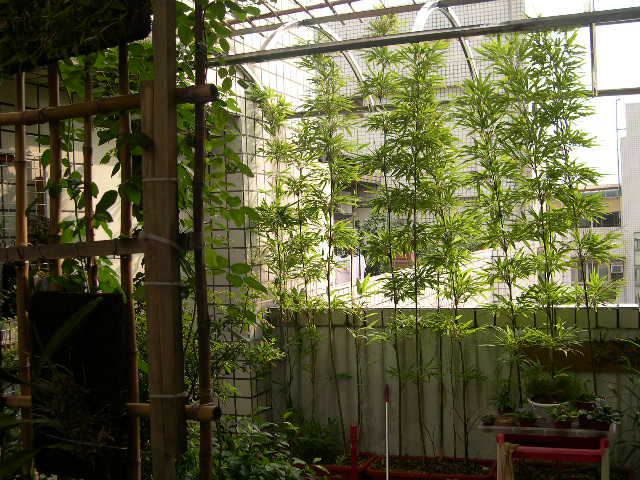 按此在新視窗瀏覽圖片