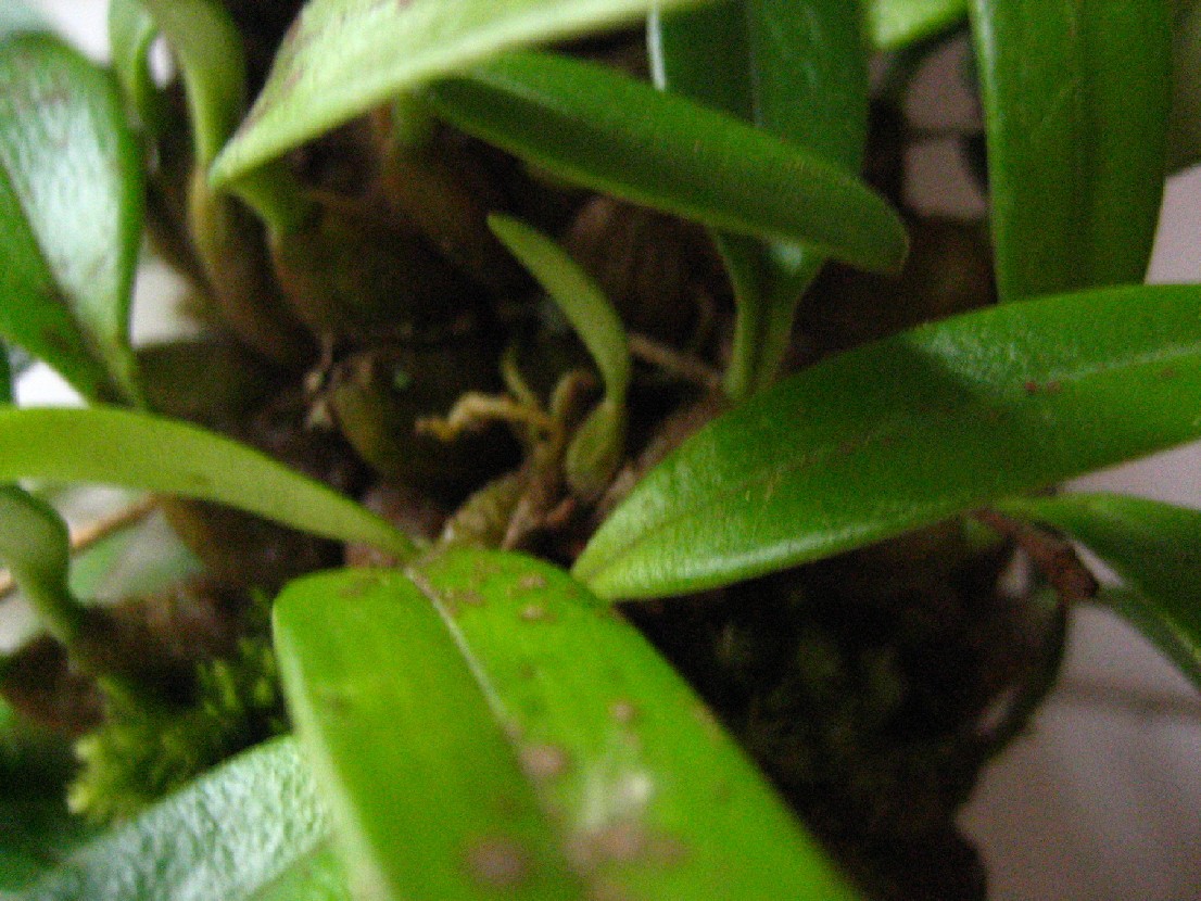 «ö¦¹¦b·sµøµ¡ÂsÄý¹Ï¤ù