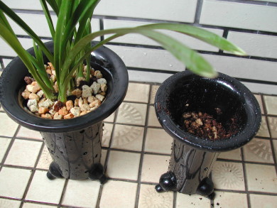 «ö¦¹¦b·sµøµ¡ÂsÄý¹Ï¤ù