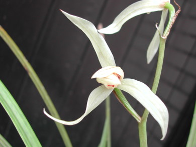 «ö¦¹¦b·sµøµ¡ÂsÄý¹Ï¤ù