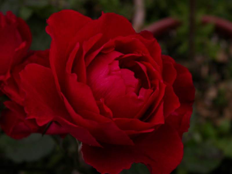 «ö¦¹¦b·sµøµ¡ÂsÄý¹Ï¤ù