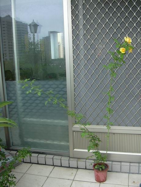 «ö¦¹¦b·sµøµ¡ÂsÄý¹Ï¤ù