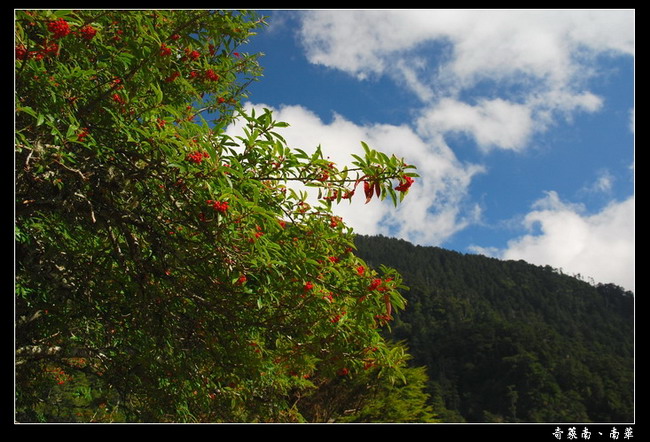 按此在新視窗瀏覽圖片