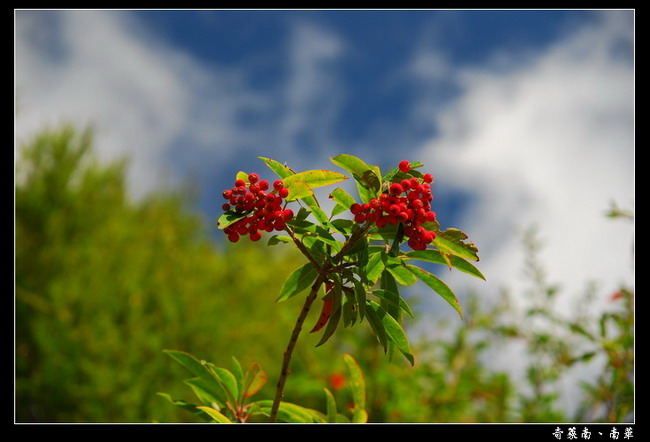 按此在新視窗瀏覽圖片