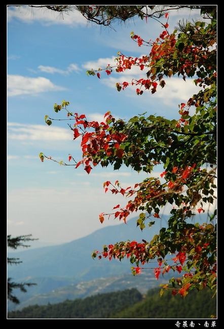 按此在新視窗瀏覽圖片