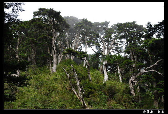 按此在新視窗瀏覽圖片