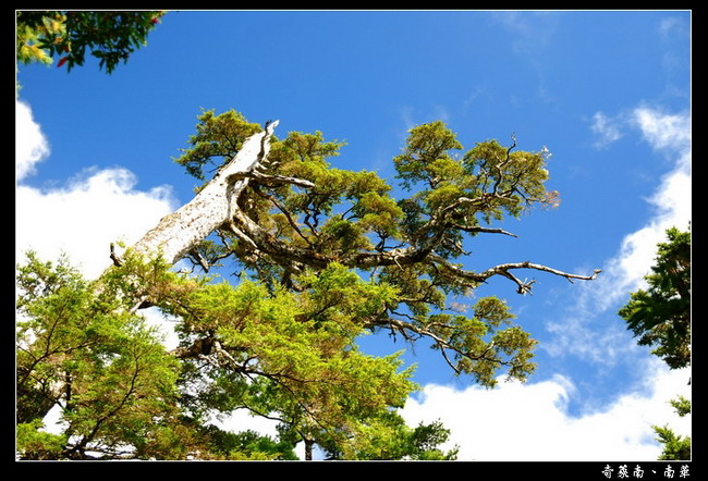 按此在新視窗瀏覽圖片