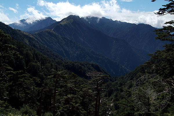 按此在新視窗瀏覽圖片