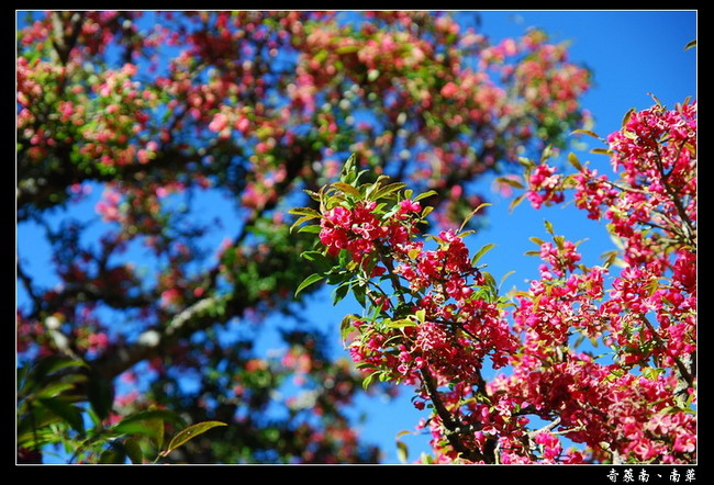 按此在新視窗瀏覽圖片